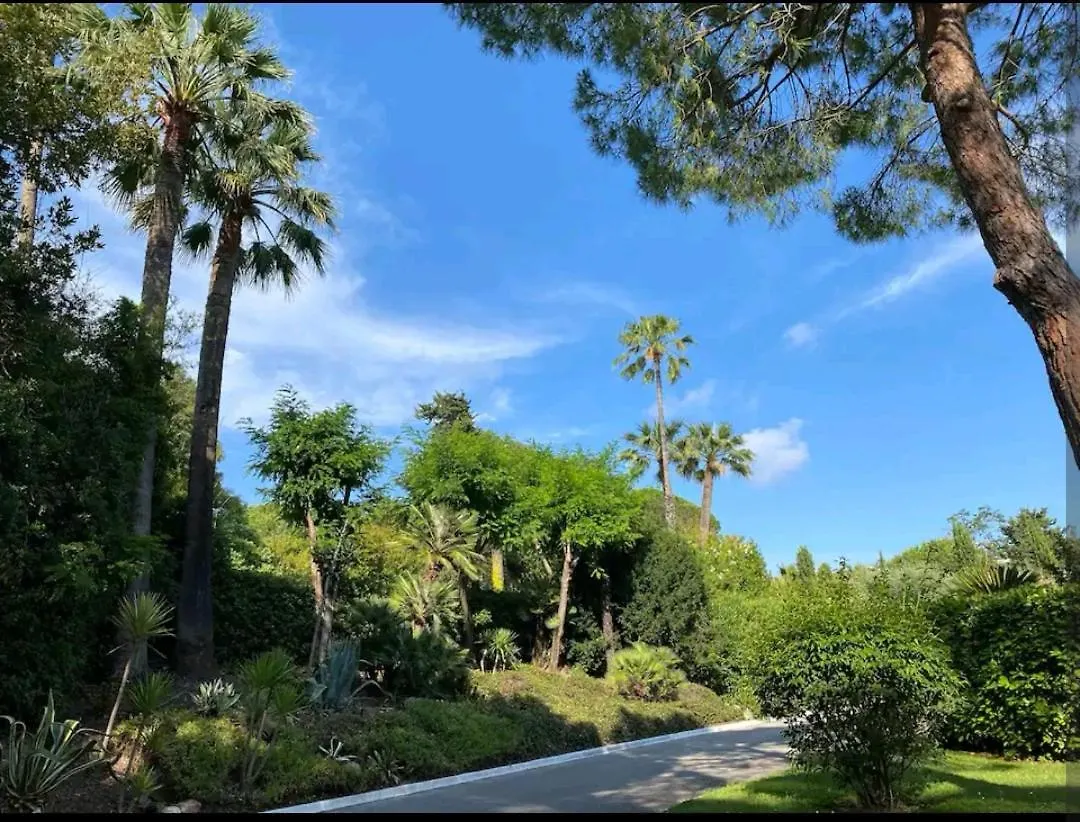 Magnifique Et Grand Studio, Piscine, Parking, Tres Calme Residence De Standing Cannes 0*,  Frankrike